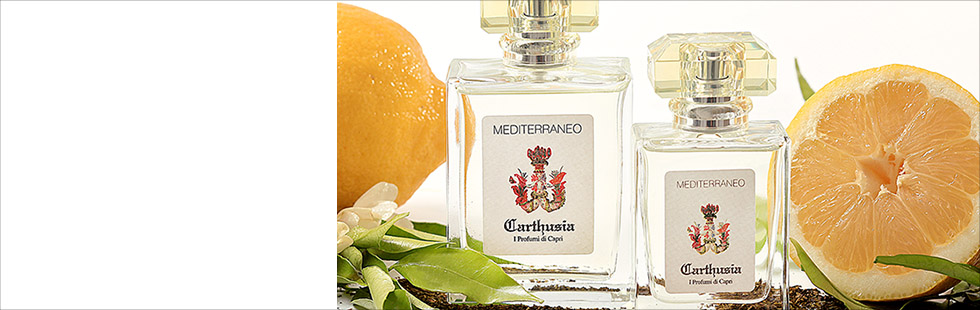 Carthusia Carthusia