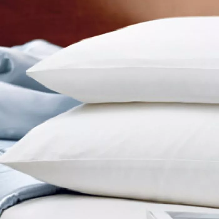 50% Silk Pillows