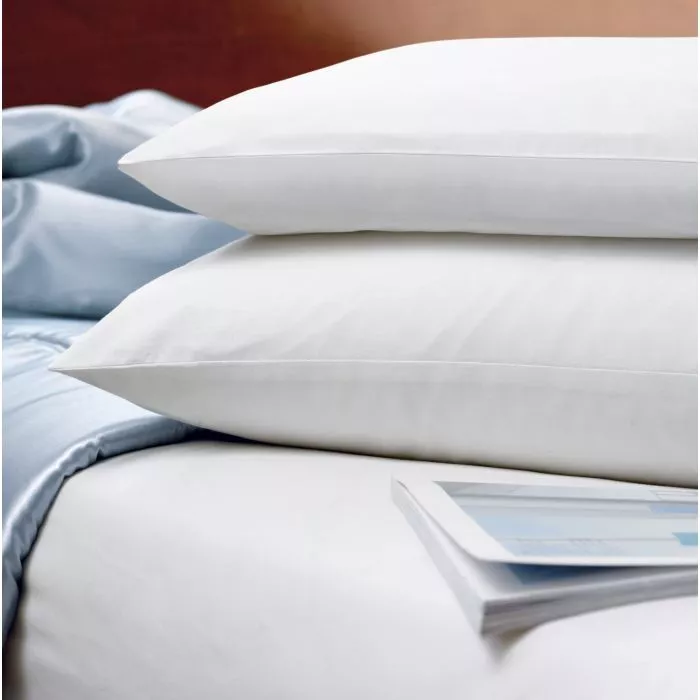 	 50% Silk Baby/Boudoir Pillow 