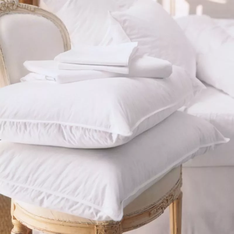 Goose Feather Down Pillows